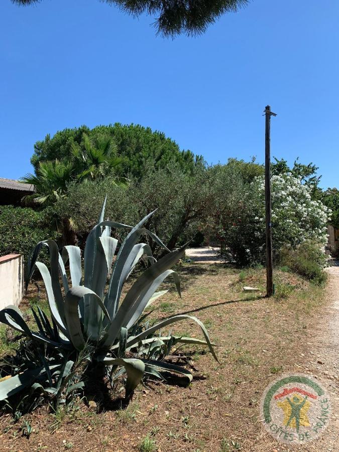 Mas De Plisset Apartment Saint-Gilles  Exterior photo